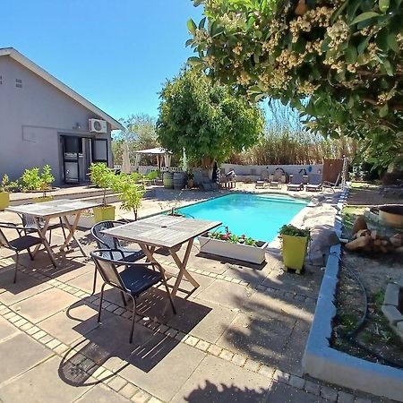 Ons Stee Bed And Breakfast Wellington Ngoại thất bức ảnh